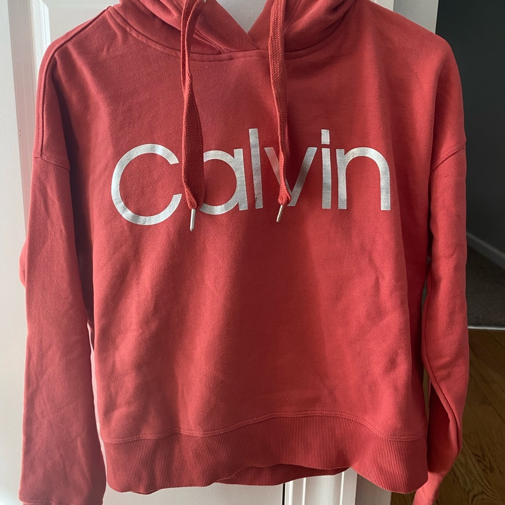 Crop Calvin Klein hoodie NWT